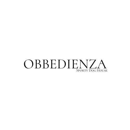 Obbedienza