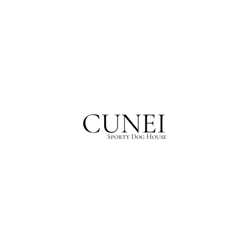 Cunei