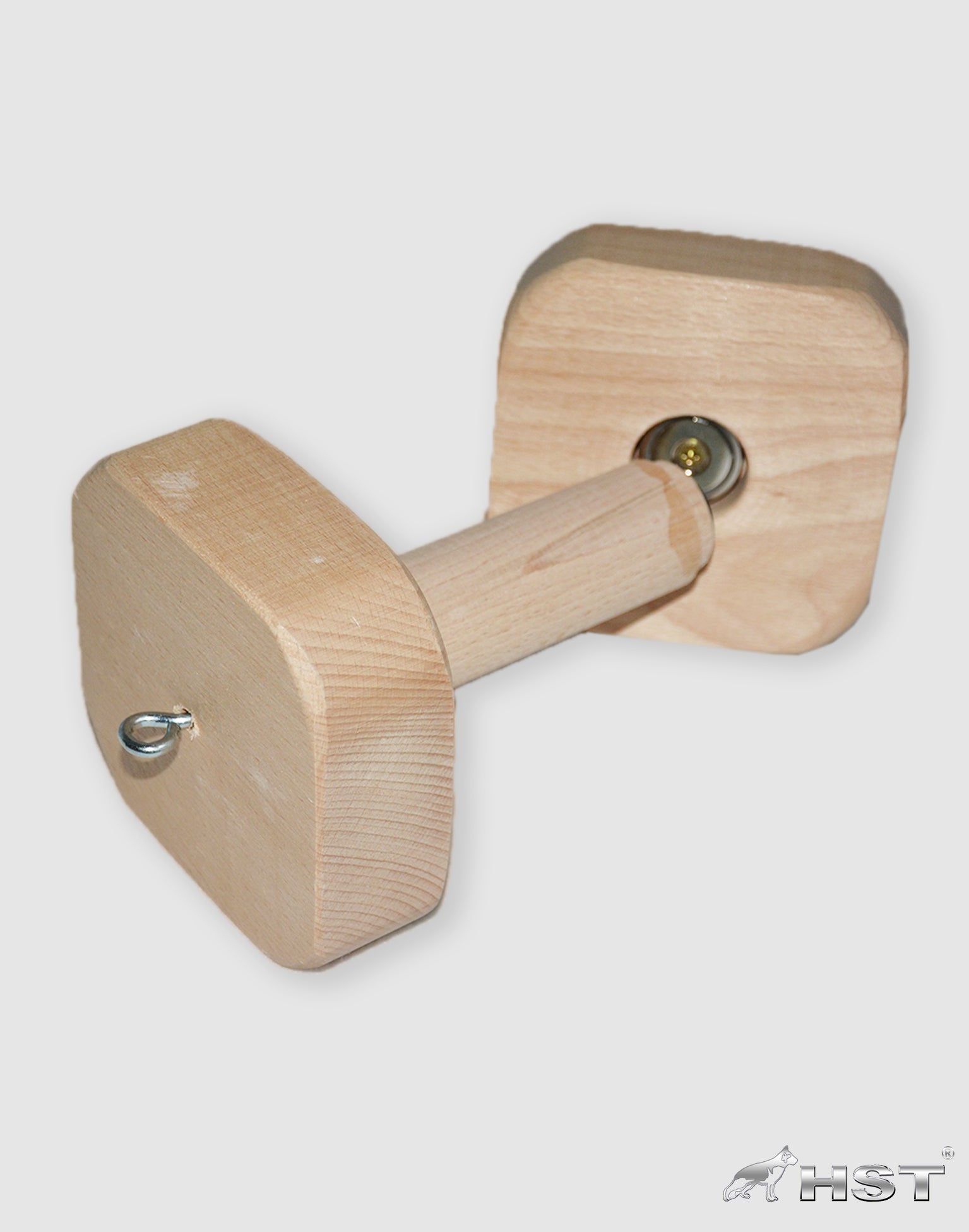 Riporto magnetico
